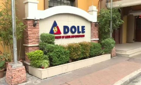 DOLE Logo